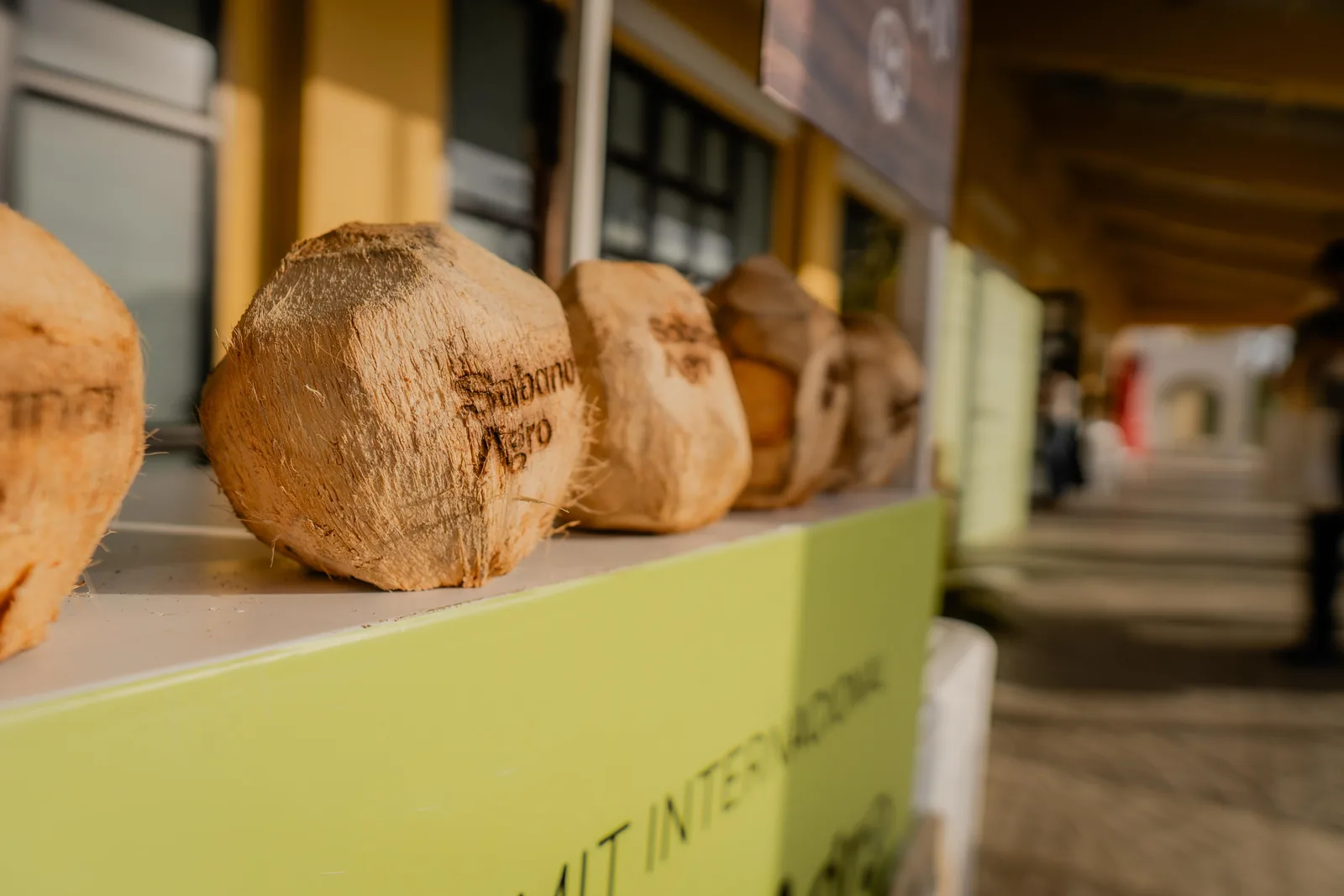 Cocos marcados con el logo de Sabana Agro para seguir su origen